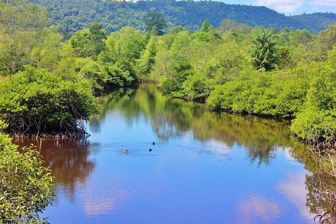 Bamboo Basket Boat Tour in Phu Quoc - Good To Know