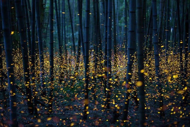 Bamboo Bicycle Tour in Twilight: Watch Dancing Fireflies in Bangkok - Common Questions