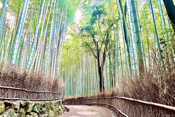 Bamboo Grove Temple and Garden Views Tour - Exploring Kyoto’s Natural Wonders: The Bamboo Grove Temple and Garden Views Tour