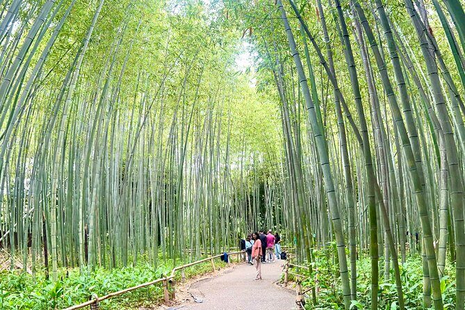 Bamboo Grove Temple and Garden Views Tour - Who Will Love This Tour?
