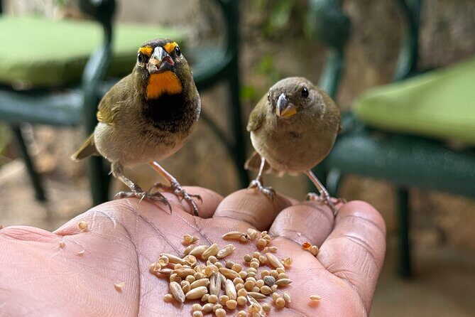 Bamboo rafting and bird sanctuary tour from Montegobay - Good To Know