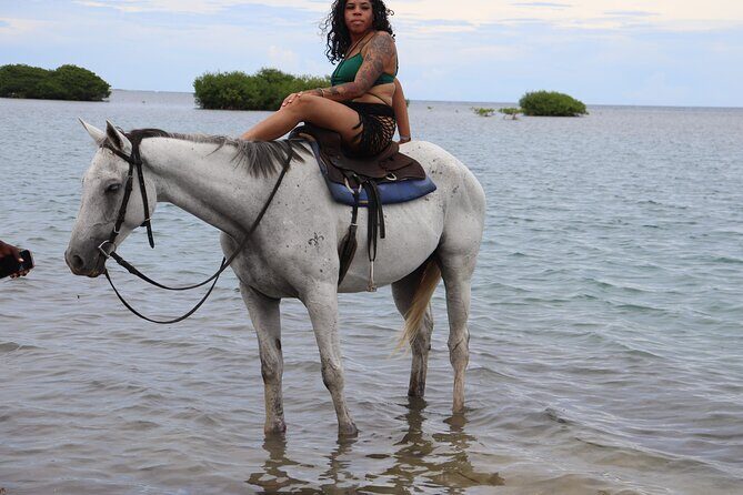 Bamboo Rafting and Horseback Riding Experience Montego Bay - The Sum Up