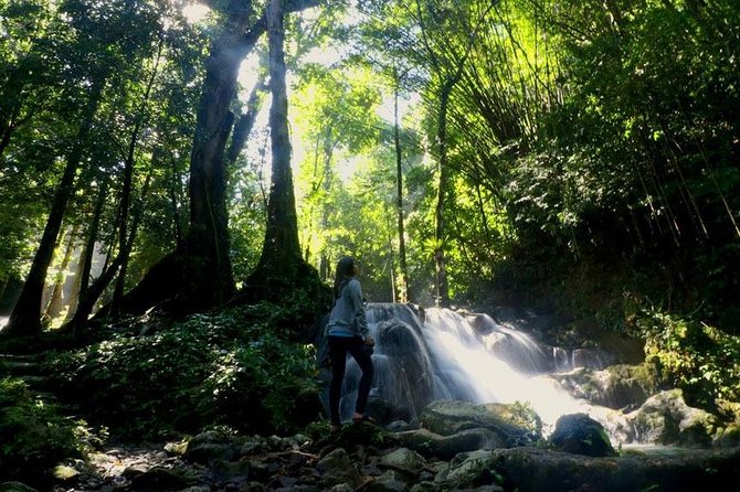 Bamboo Rafting and Jungle Tour From Phuket - Additional Information