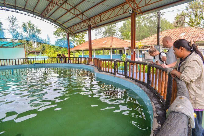 Bamboo Rafting and Monkey Cave with ATV Jungle from Phuket - Who Will Love This Tour?