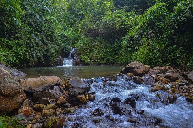 Bamboo Rafting and Monkey Cave with ATV Jungle from Phuket - Final Thoughts