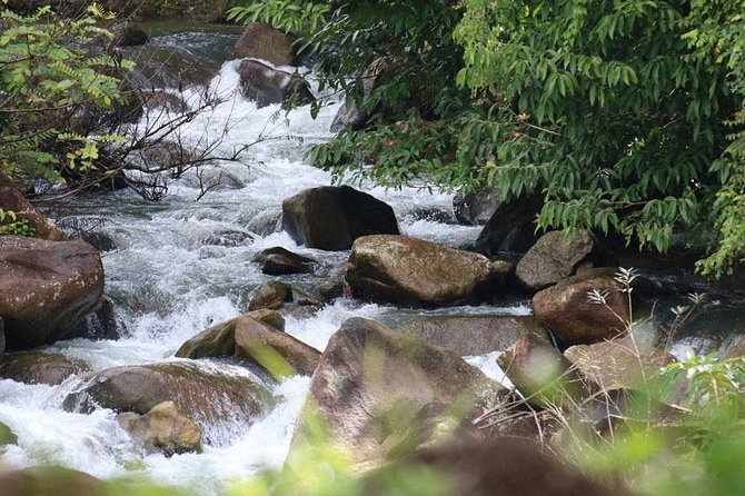 Bamboo Rafting, ATV Riding and Zip Line Tour From Phuket - Questions