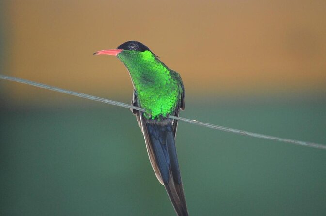 Bamboo Rafting/Foot Massage And Bird Sanctuary Private Tour - Meeting and Pickup Information