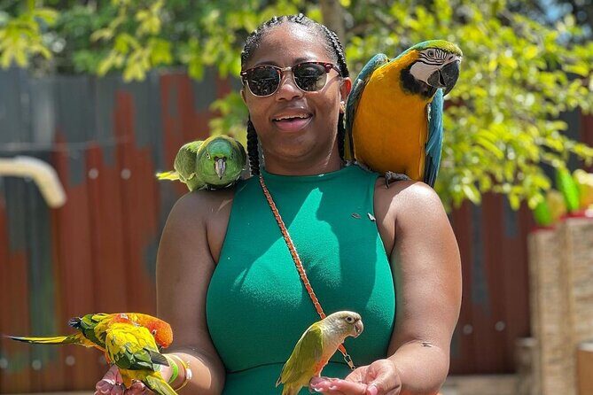 Bamboo Rafting Limestone Massage, Exotic bird and Herb Farm Tour - Good To Know