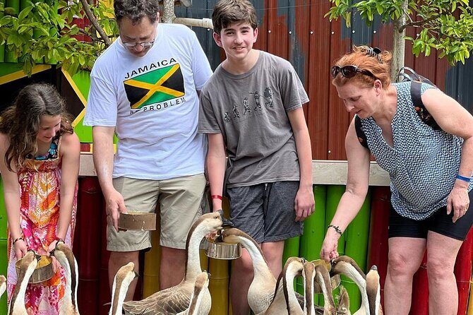Bamboo Rafting Limestone Massage, Exotic bird and Herb Farm Tour - An In-Depth Look at the Tour Experience