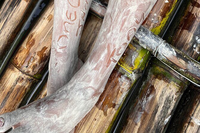 Bamboo rafting with limestone massage - Sightseeing in Montego Bay