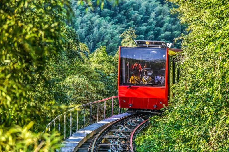 Bamboo Sea Direct Access Tour: High-Speed Rail from Shanghai - The Sacred Landscape of Longevity Peach Mountain