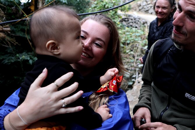 Ban Gioc Waterfall 1 Day Trip From Hanoi 2Nights/1Day - Transfers To/From Cao Bang Bus Station