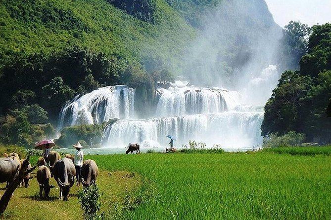 Ban Gioc Waterfall 3 Days 2 Nights From Hanoi - The Sum Up