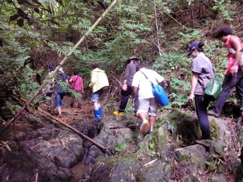 Ban Huay Kaew 2-Day Trek: Hike, Homestay, and Hill Culture - Village Life and Homestay: An Intimate Cultural Encounter