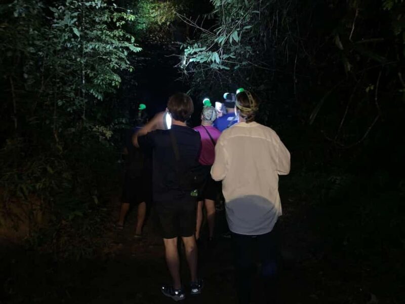 Ban Khao Sok: Rafting, Cooking, & Night Jungle Trek Tour - Discover the Wild Side of Khao Sok with the Ban Khao Sok: Rafting, Cooking, & Night Jungle Trek Tour