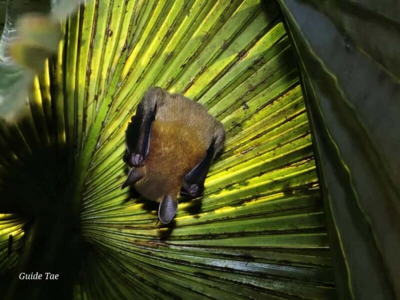 Ban Khao Sok: Rafting, Cooking, & Night Jungle Trek Tour - Detailed Breakdown of the Itinerary