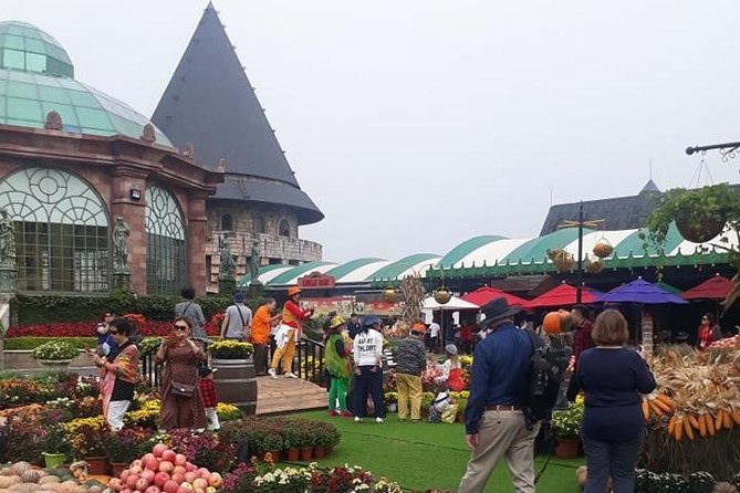Bana Hills - Golden Hands Bridge Private Tour - Cable Car Experience