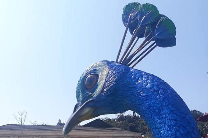 Bana Hills - Golden Hands Bridge Private Tour - Cancellation Policy and Pricing