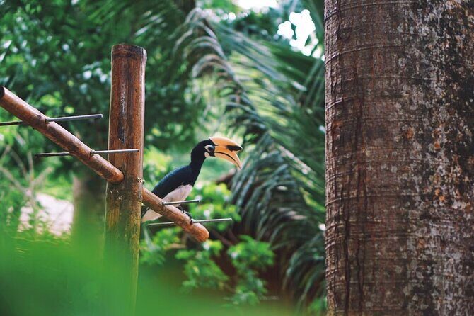 Banana Beach Koh Hey Island Trip - Who Is This Tour Best Suited For?