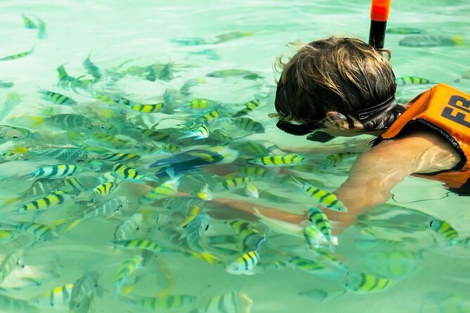 Banana Beach Snorkeling Day Out - Itinerary and Duration