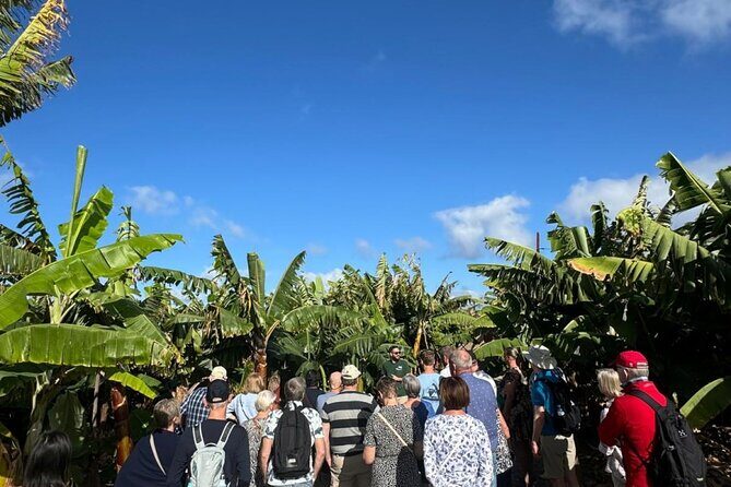 Banana Museum, Rum Distillery & Winery with Tasting: Premium tour - Final Thoughts