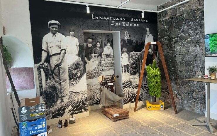 Banana, Wines & Rum Taste - Premium Tour in Gran Canaria - Tour Pricing and Duration