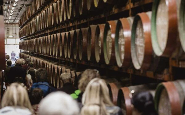 Banana, Wines & Rum Taste - Premium Tour in Gran Canaria - Frequently Asked Questions