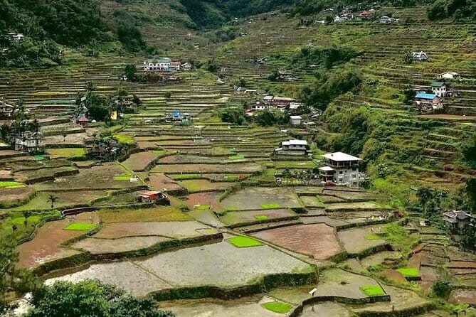 Banaue-Sagada A 7 days Northern Adventure Trip - Good To Know  