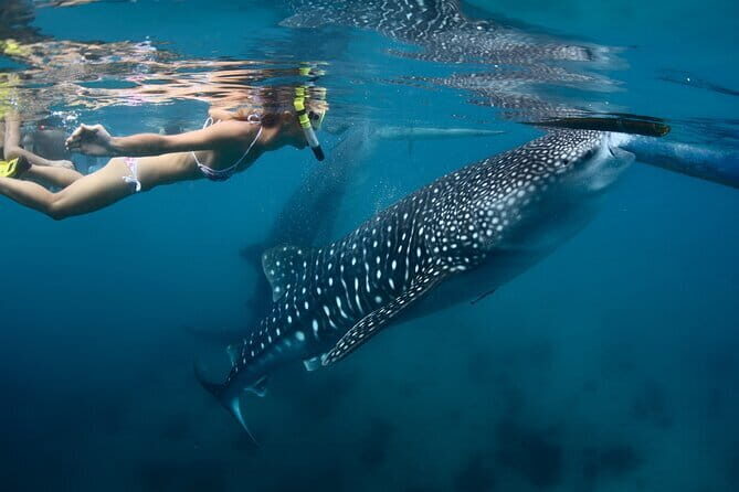 Banaue-Sagada A 7 days Northern Adventure Trip - Final Thoughts