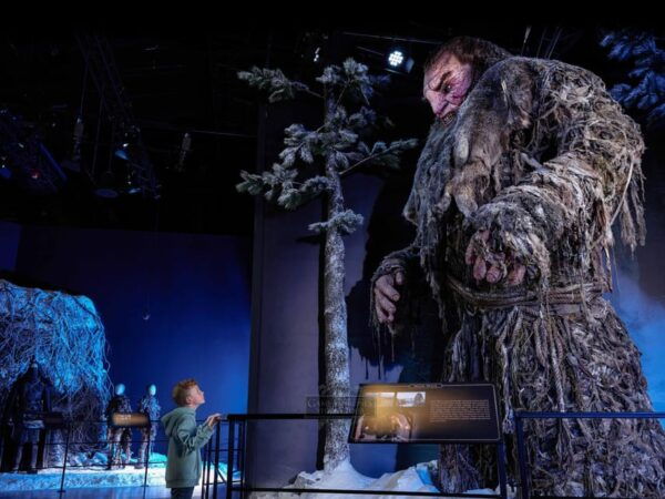 Banbridge: Game of Thrones Studio Entry & Tea With Transfers - Transportation Options