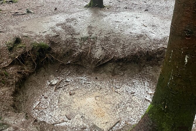 Band of Brothers in Holland and Belgium - Accommodation Options