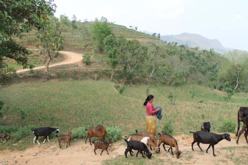 Bandipur: First hand rural cultural experience at homestay - Good To Know