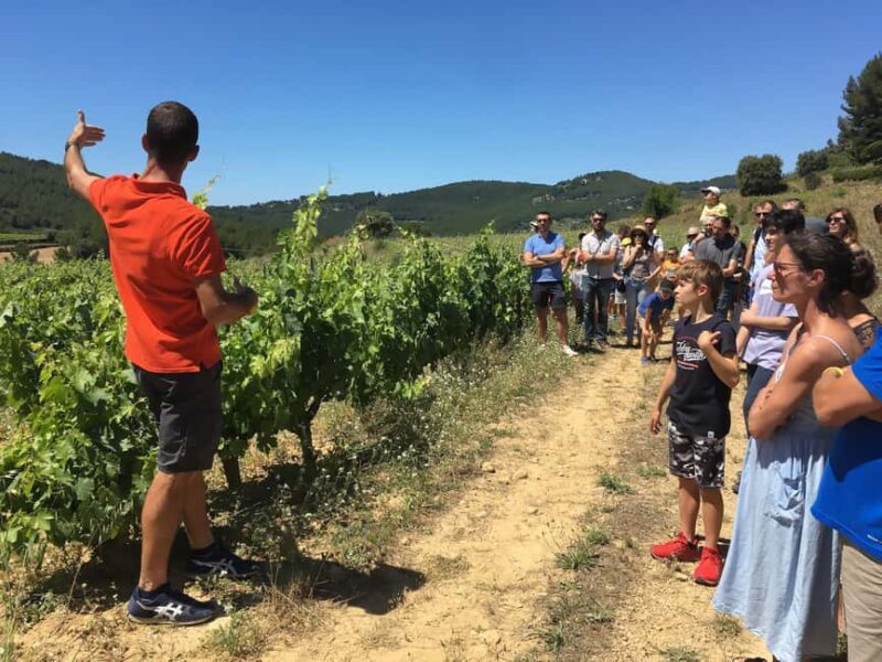 Bandol: family vineyard tour and tasting - Discovering Château Canadel: A Family Vineyard Tour and Tasting in Bandol