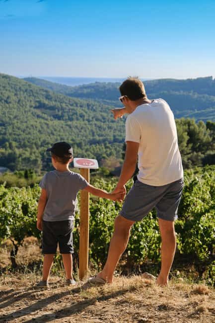 Bandol: family vineyard tour and tasting - Good To Know
