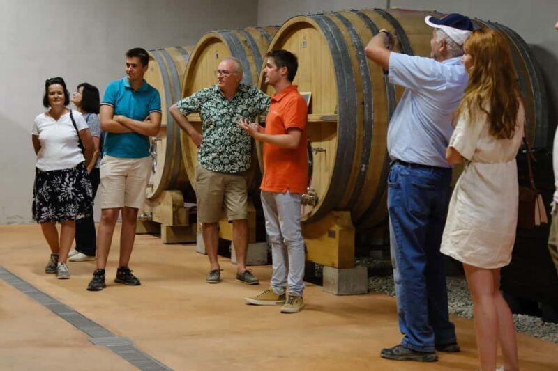 Bandol: family vineyard tour and tasting - What Sets This Tour Apart