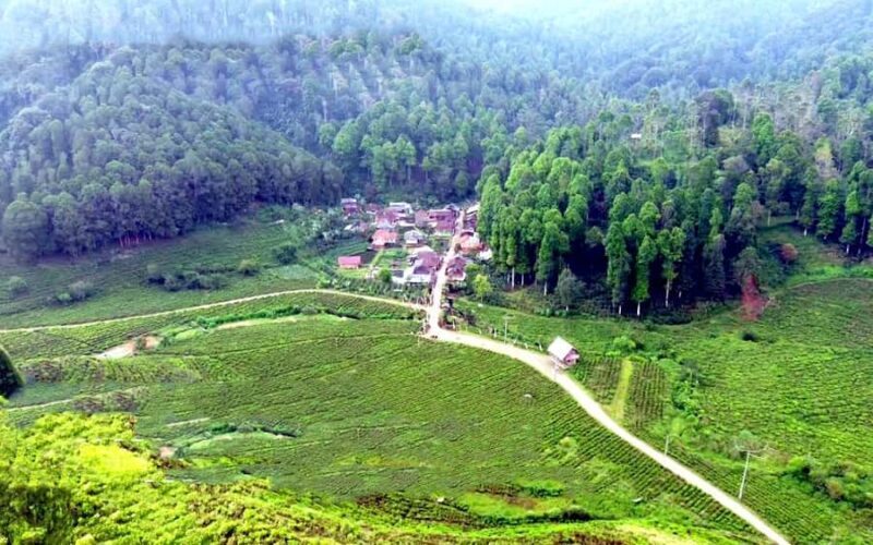 Bandung: 2-Day Village Stay, Waterfall, Crater & Hot Springs - Who Is This Tour Best For?