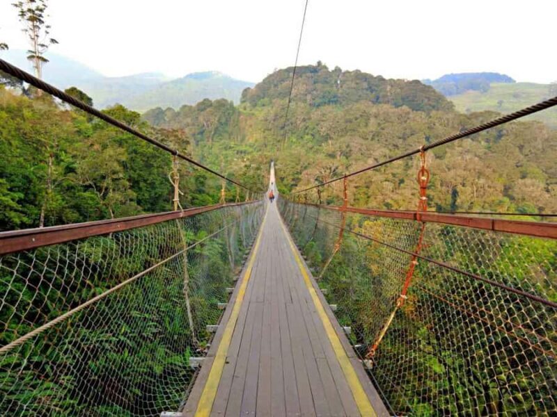 Bandung: Ciwidey motorcycle Tour with Tea Plantation - The Sum Up