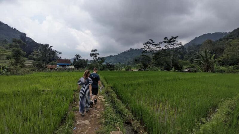 Bandung Countryside Tour: Waterfall, Rice Fields & Culture - Introduction