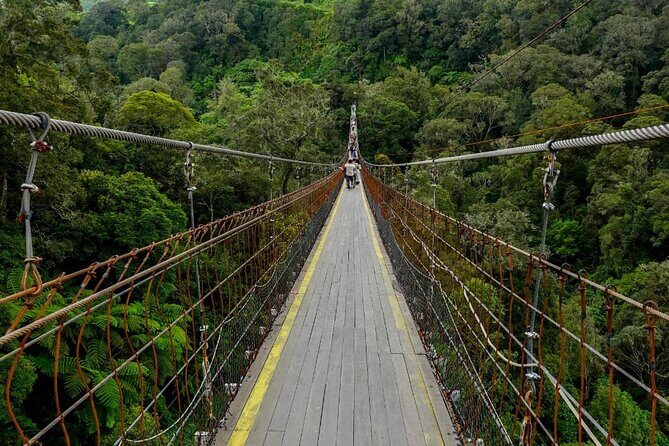Bandung Crater Adventure Hotspring and Mud Bath - Final Thoughts on the Bandung Crater Adventure Tour