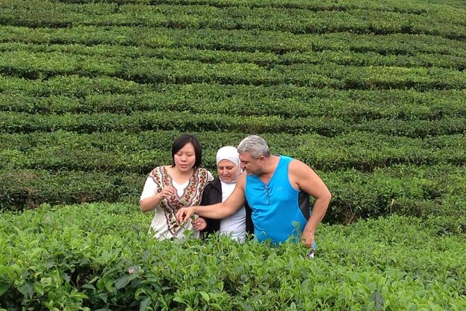 Bandung in One Day (Minimum of 2 Travelers) - Morning Exploration