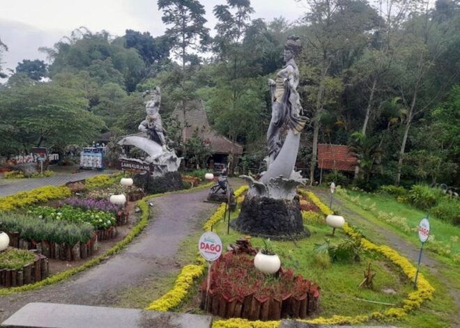 Bandung: Private Car Charter With Professional Driver by Van - Inclusions