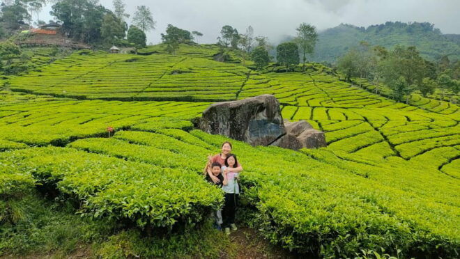 Bandung: Private Car/Van With English Driver - Vehicle Options Available