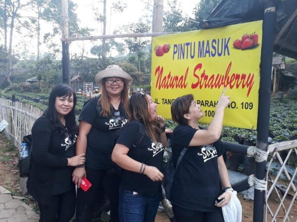 Bandung: Private Car/Van With English Driver - Additional Costs Explained