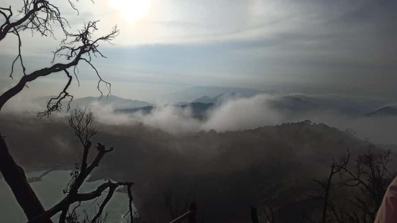 Bandung: Private Guide Follow Your Itinerary - Authentic Experiences from Real Reviews