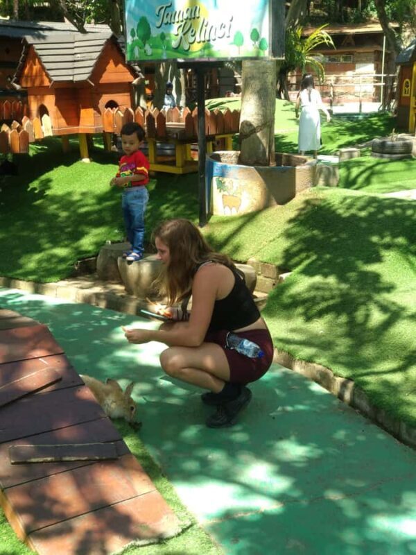 Bandung : Private Tour Guide Sightseeing (Costum tour) - Who Should Consider This Tour?