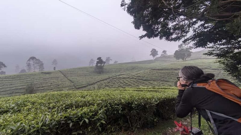 Bandung: Tangkuban Parahu Volcano & Surrounding Areas Tour - A Deep Dive into the Bandung: Tangkuban Parahu Volcano & Surroundings Tour