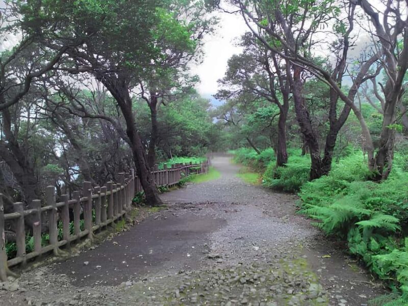 Bandung Tangkuban Perahu Volcano Tours - Final Thoughts