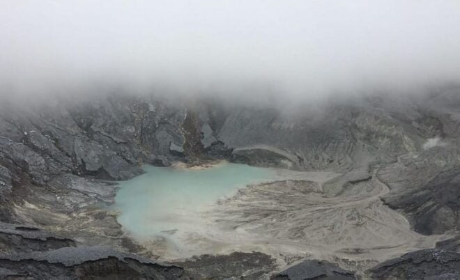 Bandung Tour : Volcano, Coffee Fields, Hot Springs Water - Local Culinary Experience