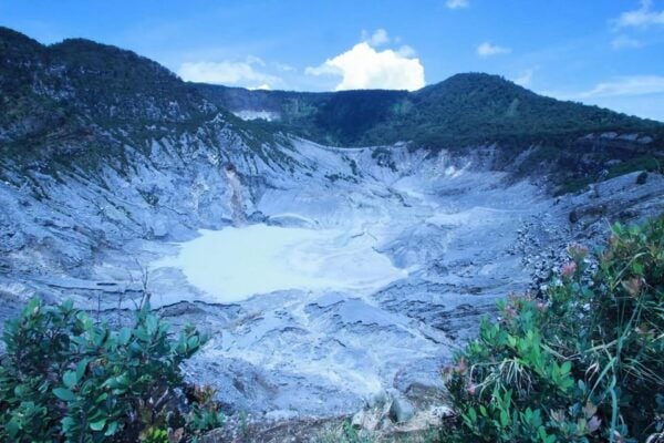 Bandung Tour : Volcano, Coffee Fields, Hot Springs Water - Inclusions and What to Expect