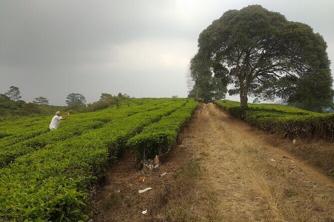 Bandung Volcano Sightseeing and Hot Spring Private Tour - Who Would Love This Tour?